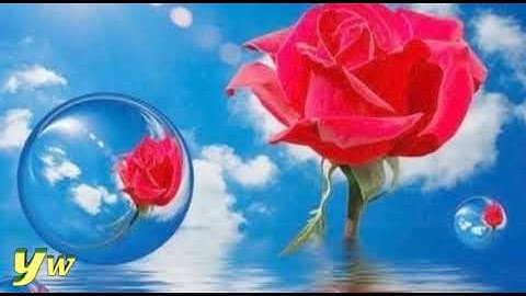 048 محمد طبلاوي Surat Al Fath سورة الفتح