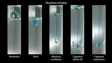 Jetting of microdroplets: numerical simulations using the Lattice Boltzmann color-gradient model