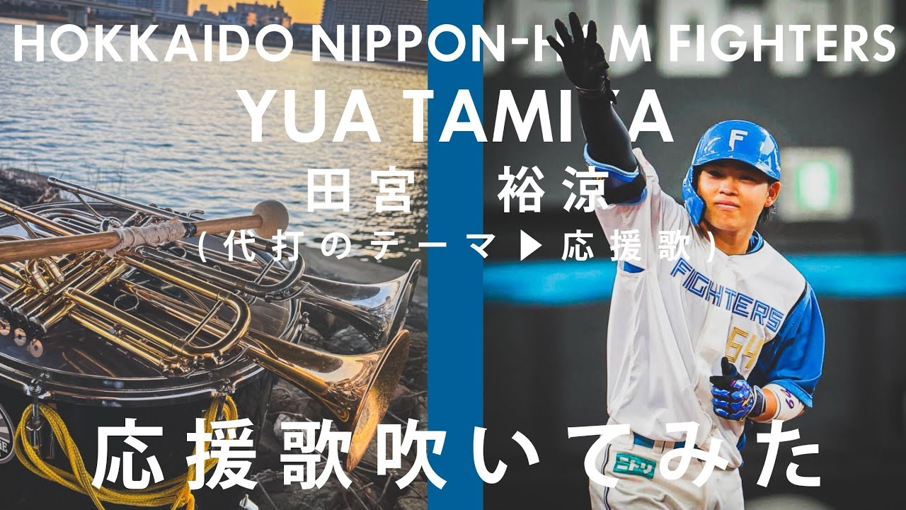吹いてみた】代打のテーマ▶︎田宮裕涼応援歌【北海道日本ハム