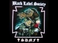 Zakk Wylde / Black Label Society - Fairies Wear Boots (Black Sabbath Cover)