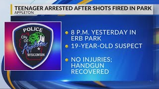Teenager arrested after shots fired at Erb Park in Appleton