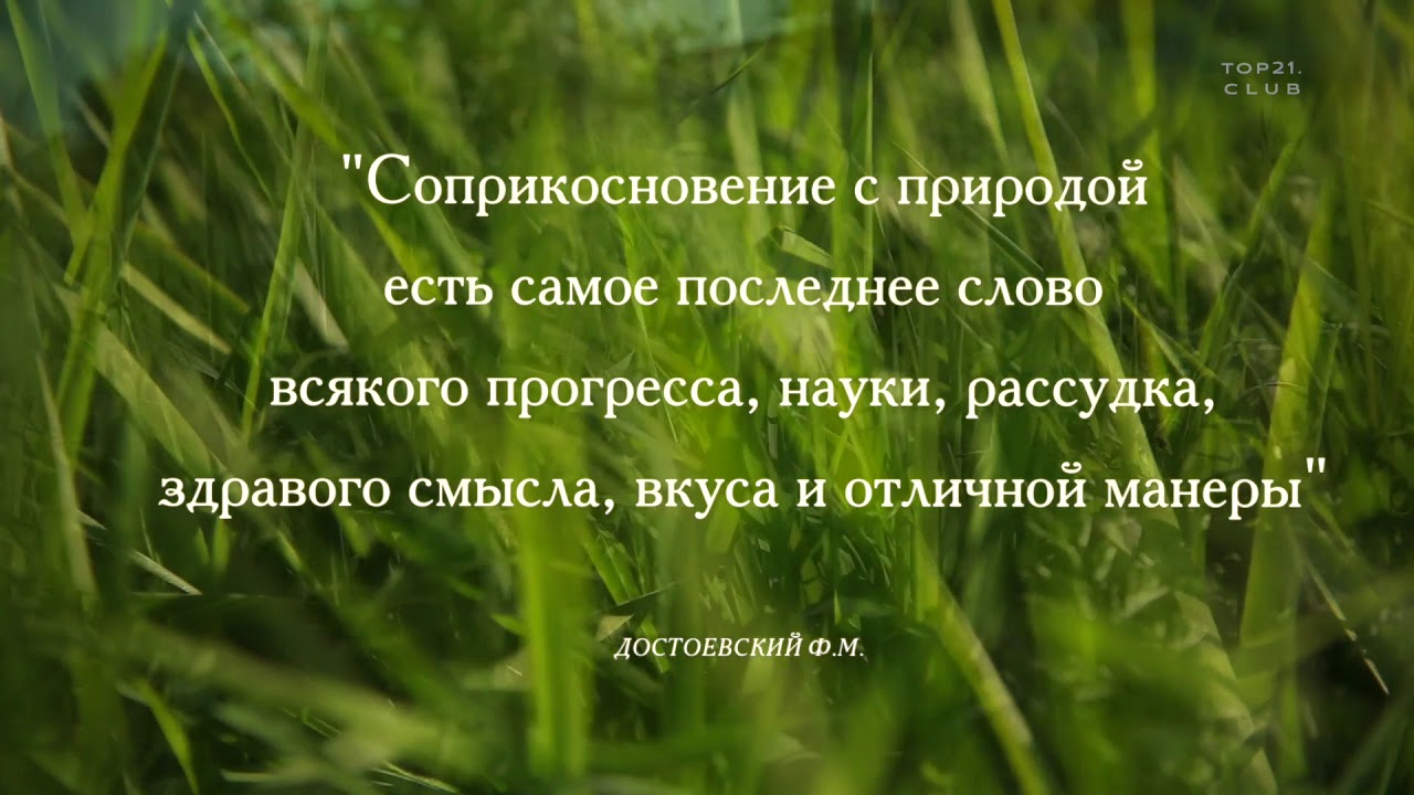 Генератор описания природы