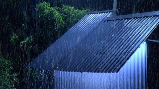 Sonido de Lluvia Relajante para Dormir - Lluvia y Truenos Sonidos de Naturaleza en Bosque - 10 Horas