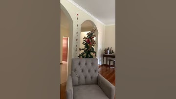 Cat Climbing Christmas Tree Pulls it Over || ViralHog