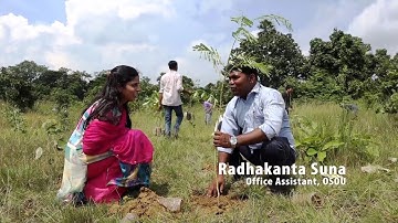 Plantation Drive OSOU_2019