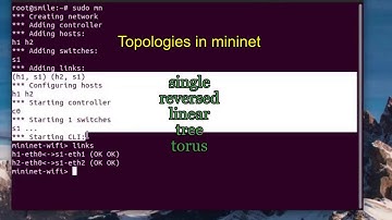 [Eng sub] Topologies in mininet #5 | mininet tutorial