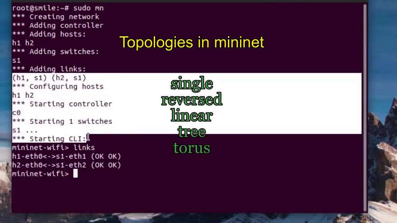 Star topology implemented in MiniNet | Download Scientific Diagram