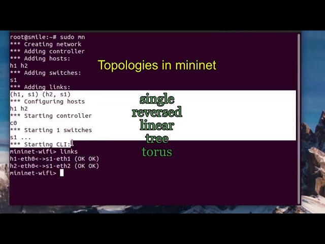 Linear Topology Mininet