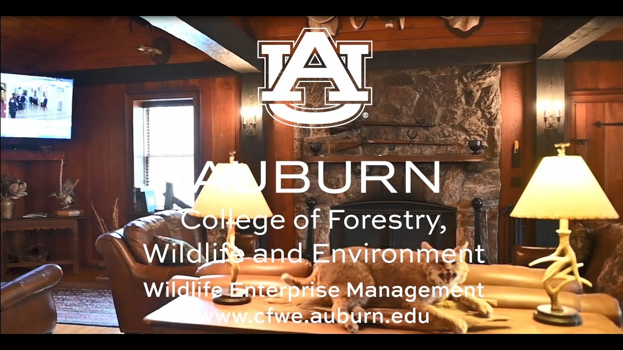 Auburn University Wildlife Enterprise Management Degree YouTube