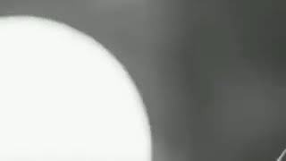 رولا قادري