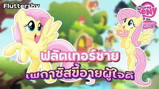 Fluttershy เพกาซัสขี้อายผู้ใจดี - My Little Pony