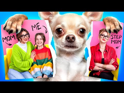 Mom vs Stepmom! Best Hacks for Pet Owners