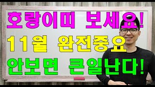 명리학으로 본 호랑이띠의 24년 갑진년 11월 어마어마한 운세!(50년, 62년, 74년, 86년, 98년생…