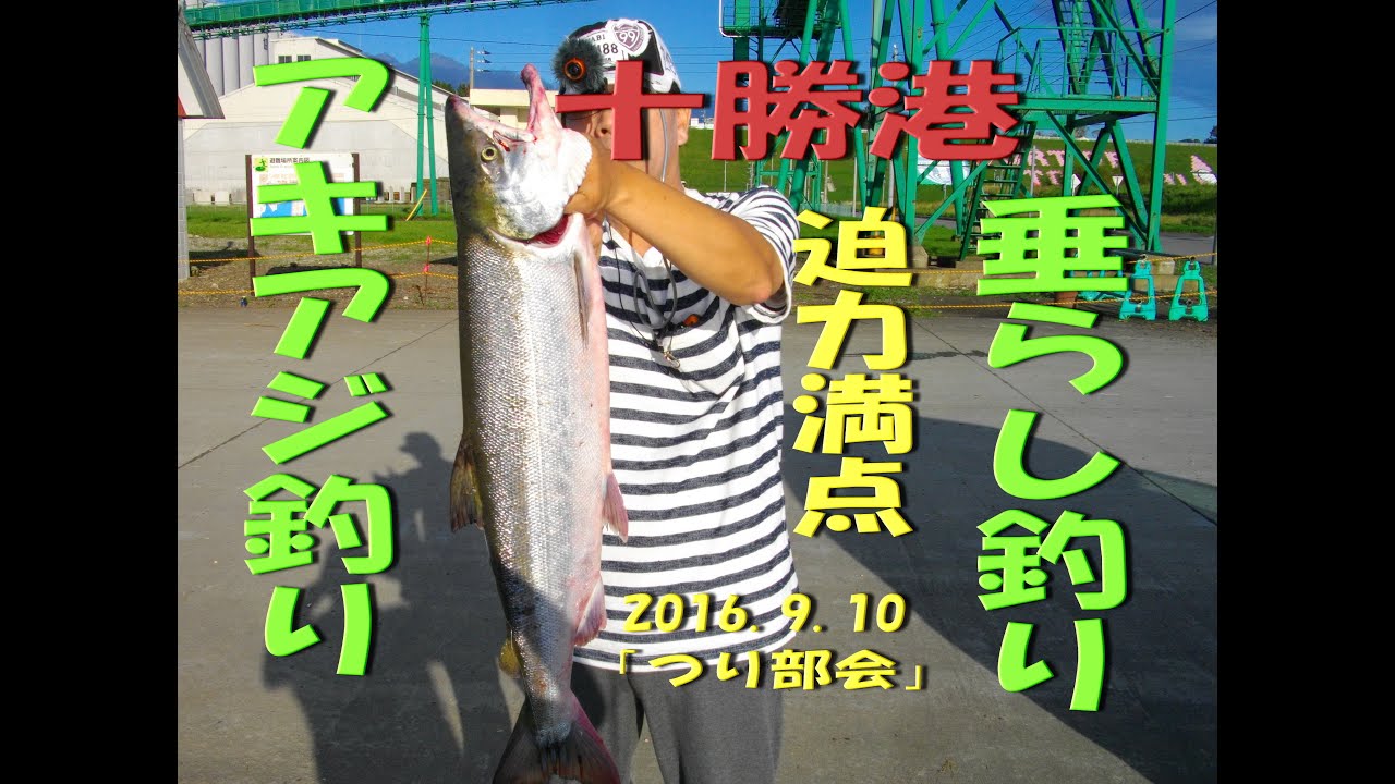 鮭垂らし釣り台 2016.9.10 十勝港のアキアジ釣り ☆タナどりと竿の長さについて