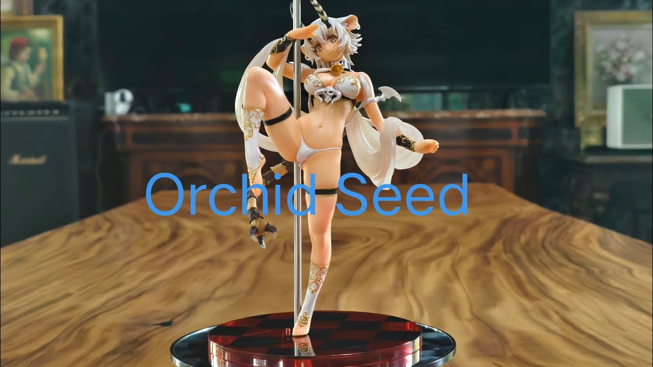 Orchid Seed The Seven Deadly Sins: Belphegor SectionDance Showtime