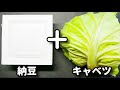 主材料はキャベツと納豆だけ!ただ混ぜるだけで激ウマです!