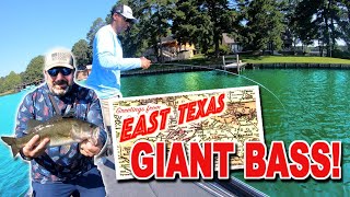 Fishing East Texas For GIANT BASS! by Typical Outdoors 382 views 11 months ago 15 minutes