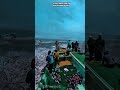 Innovative Fishing Net System: Extreme Silver Fish Harvest Action