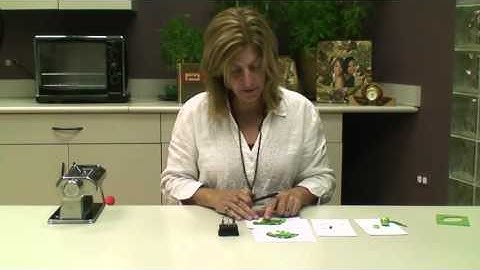 Sculpey 5 in 1 Tool Set