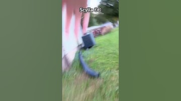 THE LAYER OF SCYLLA #music#epicthemusical