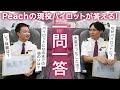 【パイロット】Peachパイロットに一問一答してみた