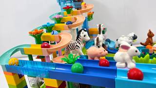 🔥 EPIC LEGO DUPLO Marble Run: Cute Animal Coaster Race Showdown!