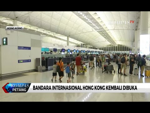 Video: Rencana Bandara 'Ancam' Lumba-lumba Hong Kong Kong