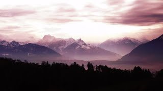 Ambyion  Shockline  Vidoux  Dreamer