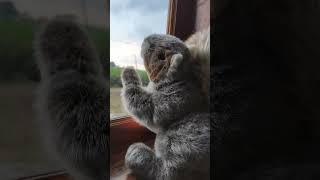 seseorang yang kau cintai