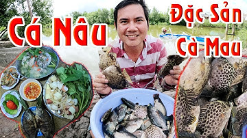 Bắt Cá Nâu Dưới Vuông Tôm Ở Cà Mau - Cà Mau vlog