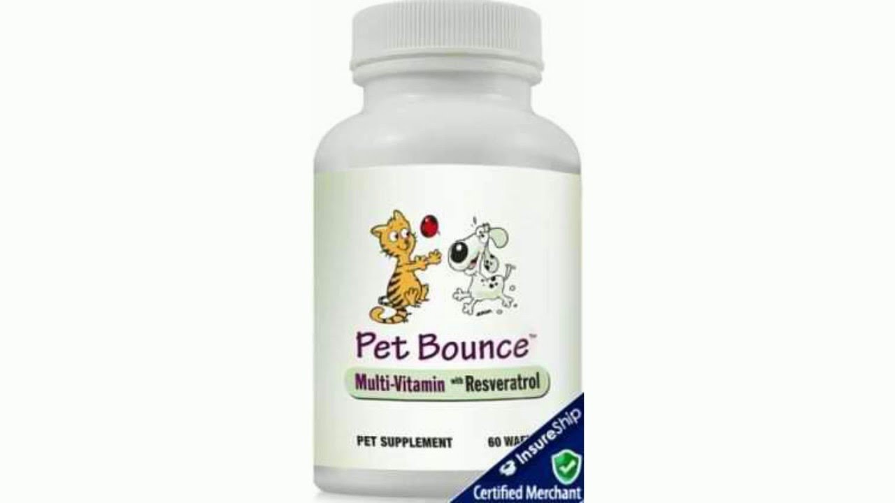 Pet Bounce Vitamin Review YouTube