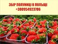 ЗАПИСУЄМОСЬ ВЖЕ НА ТРУСКАВКУ ДО НОРМАЛЬНОЇ ПАНІ! КІЛЬКІСТЬ МІСЦЬ ОБМЕЖЕНА!