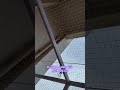 Invisible Safety Grill for balcony #gurgaon #home #birdnetting #shortsfeed #shorts #viral