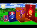 SURVIVAL INSIDE this ALL SIZE PIT with Poppy Playtime | Huggy Wuggy | LILY LOVE BRAIDS | Minecraft