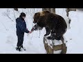 Проверяли грот, в догонялки играли. Медведь Мансур 🐻💞