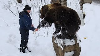 Проверяли грот, в догонялки играли. Медведь Мансур 🐻💞