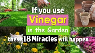 Spray vinegar on garden plants