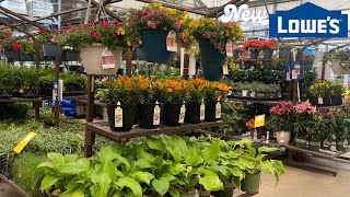 LOWE’S GARDEN CENTER (SPEEDWELL SWEET ROMANCE LAVENDER WEIGELA ASIATIC LILY ) PERENNIAL TREES SHRUBS