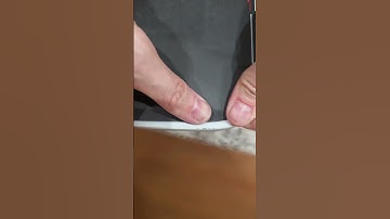 JOOLA Perseus Pro IV 14mm Loose Edgeguard