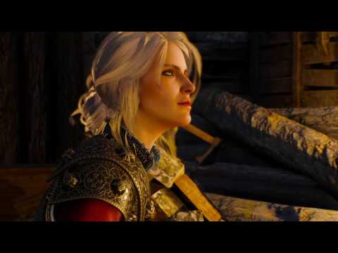 The Witcher 3 - 