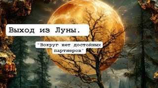 картинка: 🌘