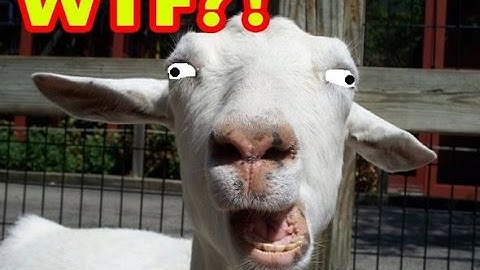 How to DELETE BROWSING HISTORY in Internet Explorer!