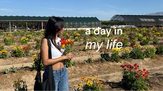 a day in my lifebaking, picking flowers, more cooking