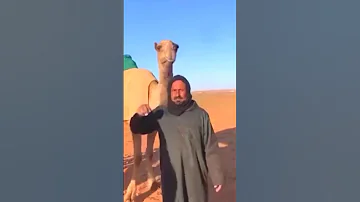 ㅤㅤㅤㅤㅤㅤㅤㅤㅤㅤ 
