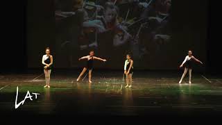 Orchestra Musicians | 2018 Fall Showcase