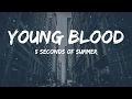 5SOS - Young Blood (Lyrics Video)