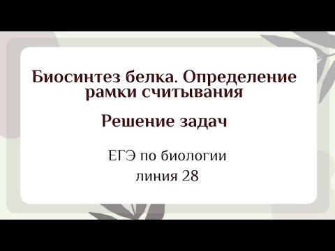 Определение открытой рамки считывания. Решение задач на биосинтез белка. Задание 28 ЕГЭ по биологии