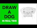 Draw a realistic dog in minutes  follow along in real time  drawing tutorial art dog