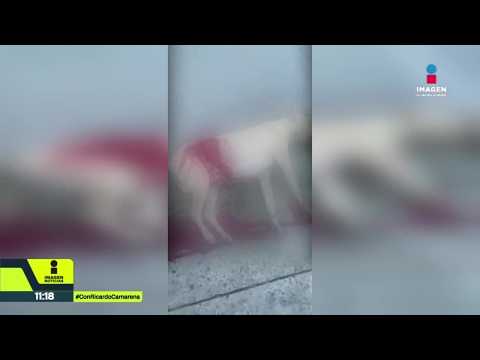 ¡Indignante! Buscan al hombre que asesinó a puñaladas a una perrita en Tlaquepaque | Noticias GDL