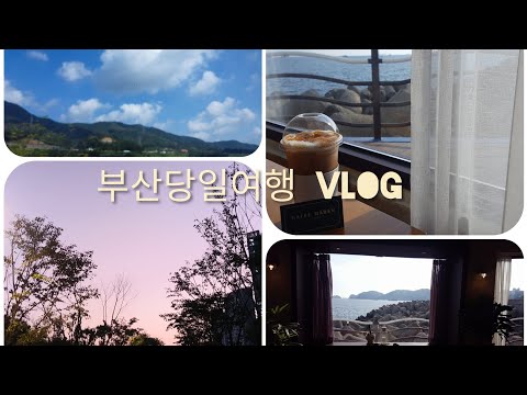 카페마렌 흰여울점